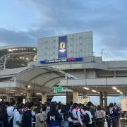 ハチ