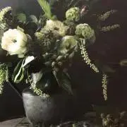 あぴぃの画像