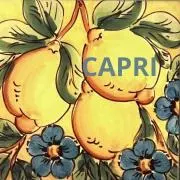 CAPRIの画像