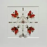 Oasisの画像