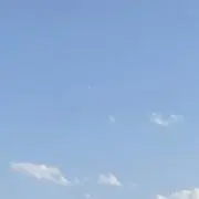 futaの画像