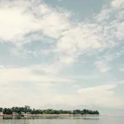 トシボーイ