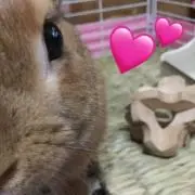 ♡MOCO♡の画像