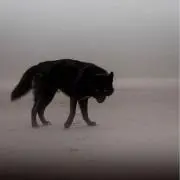 うんぴ