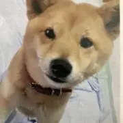 カラーちゃんのパパ