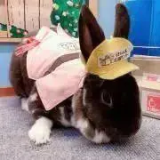 なぁの画像