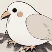 ひとつのいろの画像