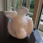 ととろん