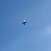 むーの画像
