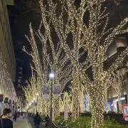 ちい　⚠️プロフ必読の画像