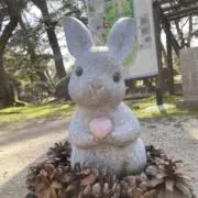 ぶりぽーぽー（プロフ要確認）の画像