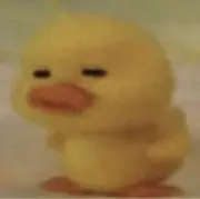 ロロの画像