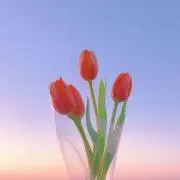 ともか