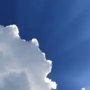 sabowの画像