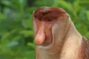 丞二