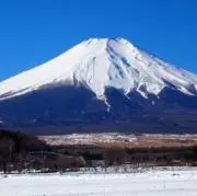 GRZの画像