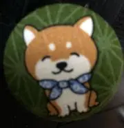ココちゃんの画像
