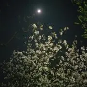 エキストラショットの画像