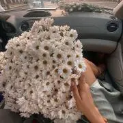 Mの画像