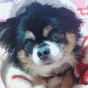 かんちゃん