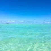Ｋの画像