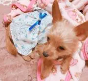 めぐみ
