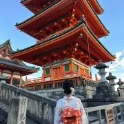 シュウの画像