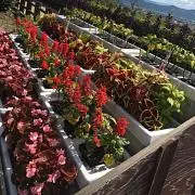 ♡♡♡の画像