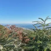 RHMSST (プロフ)の画像