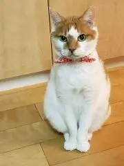 ちぃ