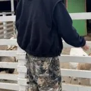 ひら