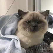 meの画像