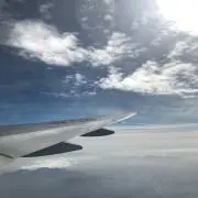 もも【翌日発送可】の画像