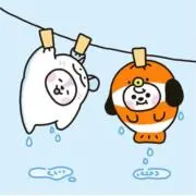 三毛猫hopeの画像