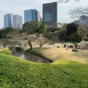 naoの画像