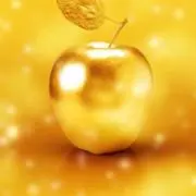 あんころの画像