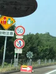 バイオの画像