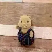 ぴよこの画像