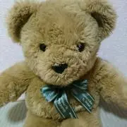 Koyuの画像