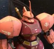 とくちゃんの画像