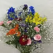 みきの画像
