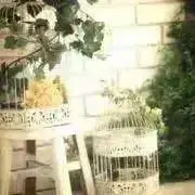 ✩keki✩の画像
