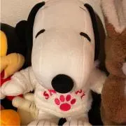 ヨーコちゃんの画像