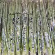 あおいの画像