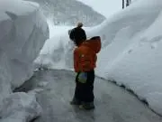 こう0517の画像