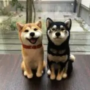 おいも愛(^.^)の画像