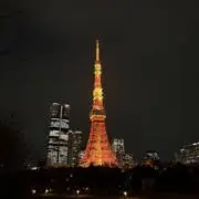炊き込みごはんの画像