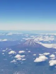 peppermintの画像