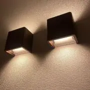 アオダモの画像