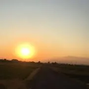 ヒカリ